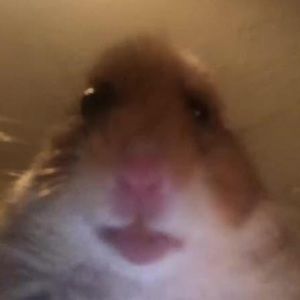 Meet your Posher, Destiny